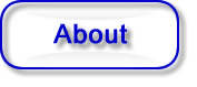 About the Auction Software