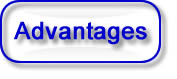 Auction Software advantages