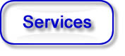 Auction Software City Councili services